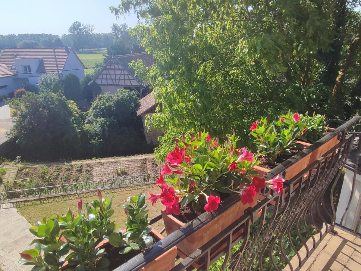 Appartement Des Rives De L'Ehn Krautergersheim Exterior photo